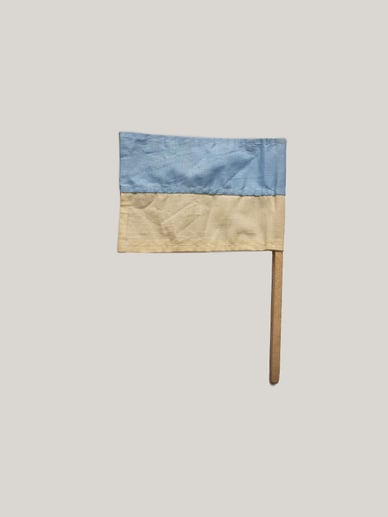 Прапор з дисидентського мітингу