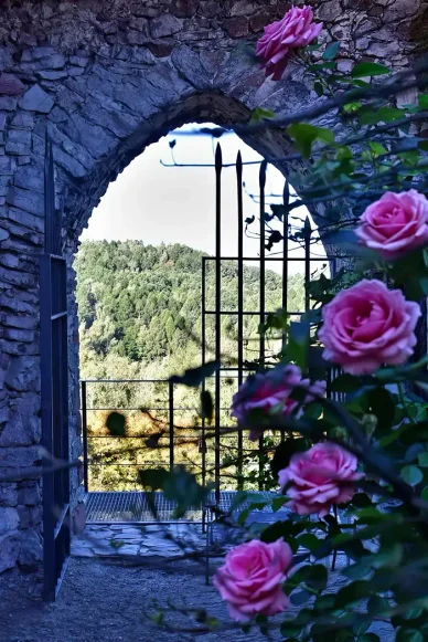 Zamek w Chęcinach widok z zamku