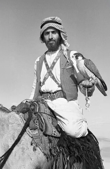 زايد آل نهيان مع صقر