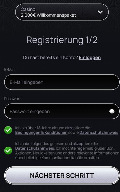 Auswahl eines Passworts und einer E-Mail