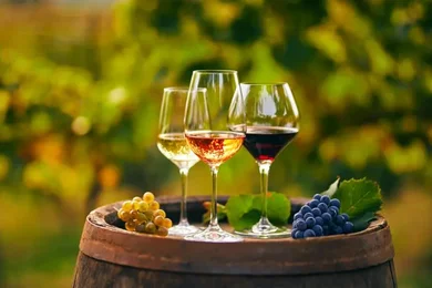 Borfesztiválok Magyarországon