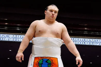 安青錦新大（Aonishiki Arata）