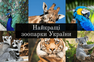 Найкращі зоопарки України