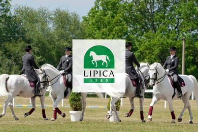 Lipica