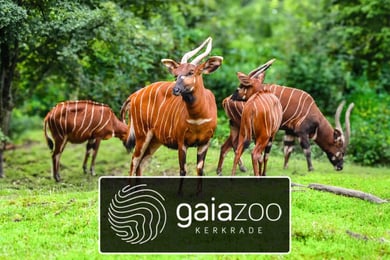 GaiaZOO