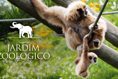 Jardim Zoológico de Lisboa