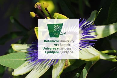 Botanični vrt Univerze v Ljubljani