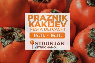 22. Praznik kakijev v Strunjanu