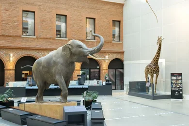 Muséum de Toulouse