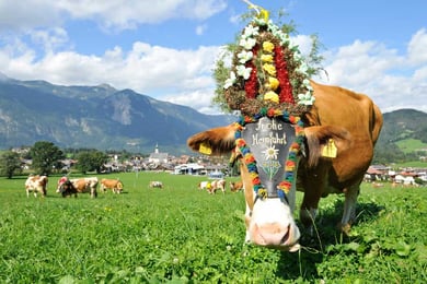 Almabtrieb in Österreich