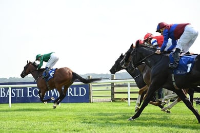 Irish Racing