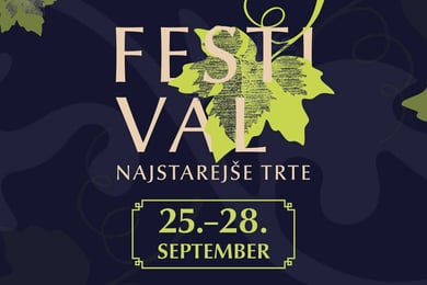 Festival Najstarejše trte