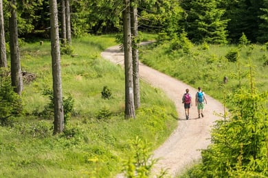 Die besten Orte für Trekking in Deutschland