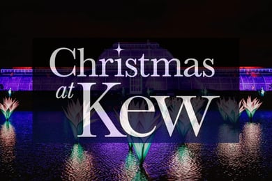 Christmas at Kew