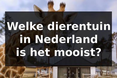 Welke dierentuin in Nederland is het mooist?