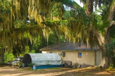 Bradfordville Blues Club: The Best Juke Joint for Blues Fans
