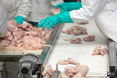 La viande et son impact environnemental