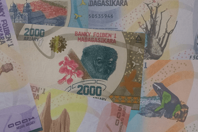 Малагасійський аріарі