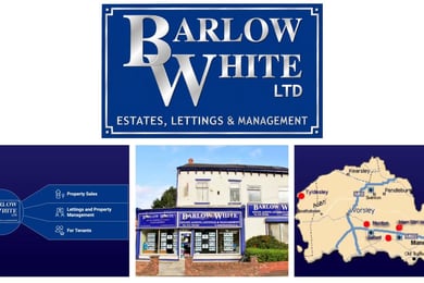 Barlow White LTD