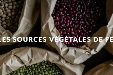 Les sources végétales de fer