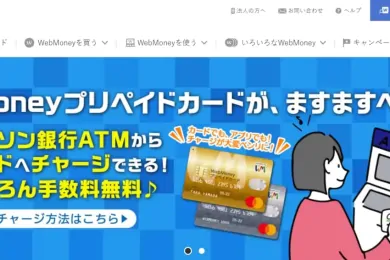 Как пользоваться Webmoney (Вебмани)?