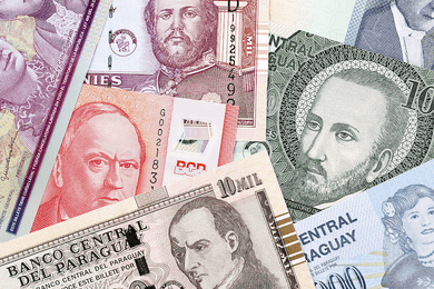 Парагвайский гуарани