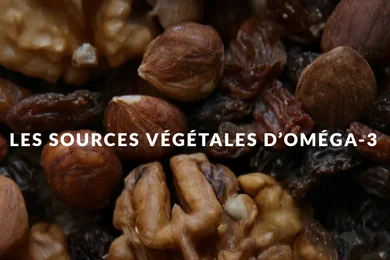 Les sources végétales d’oméga-3