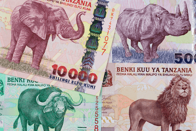 Танзанійський шилінг