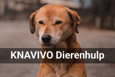 KNAVIVO