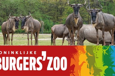 Burgers Zoo