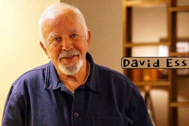 David Essex