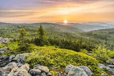 Bayerischer Wald Nationalpark