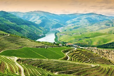 Uma visão geral dos passeios, da cultura e da gastronomia da região vinícola do Vale do Douro