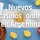 Nuevos casinos online en Argentina Nuevos casinos online