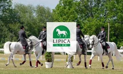 Lipica