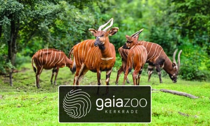 GaiaZOO