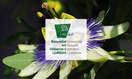 Botanični vrt Univerze v Ljubljani