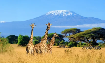 Tanzania