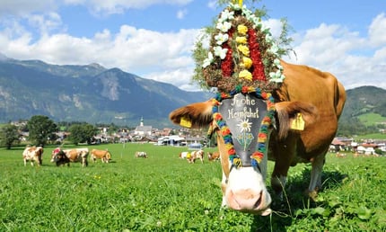 Almabtrieb in Österreich