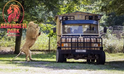 Safaripark Serengeti Hodenhagen