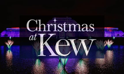 Christmas at Kew