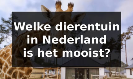 Welke dierentuin in Nederland is het mooist?