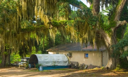 Bradfordville Blues Club: The Best Juke Joint for Blues Fans