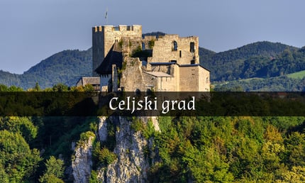 Celjski grad