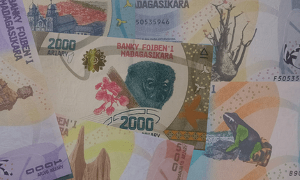 Малагасійський аріарі