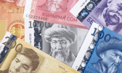 Киргизький сом