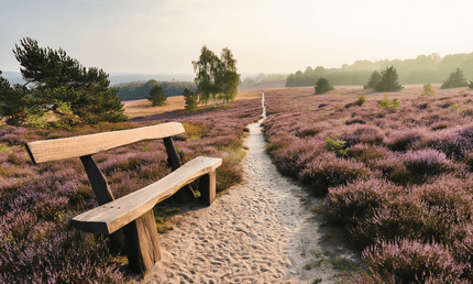 Naturpark Lüneburger Heide