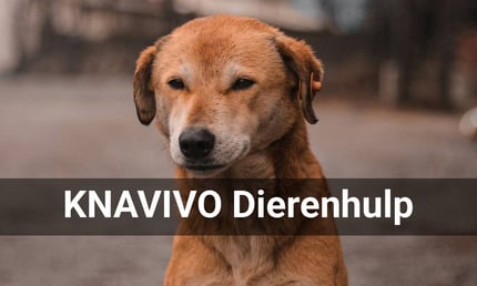 KNAVIVO