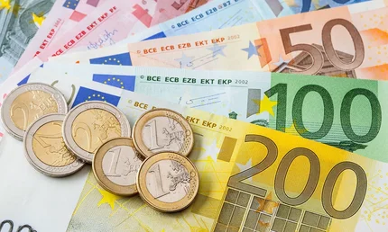 Euro