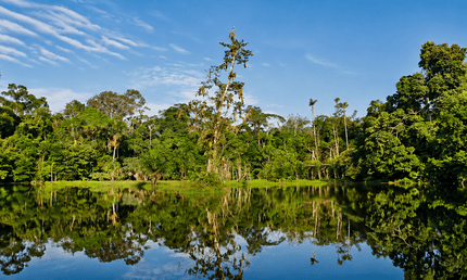 Yasuni – die Rettung des Nationalparks